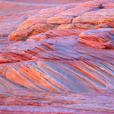 119 rainbow sandstone arizona.507.detail