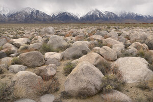158 giants of the owens valley california.486.lightbox