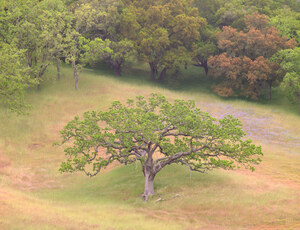 172 valley oak san clemente creek california ftp.340.lightbox