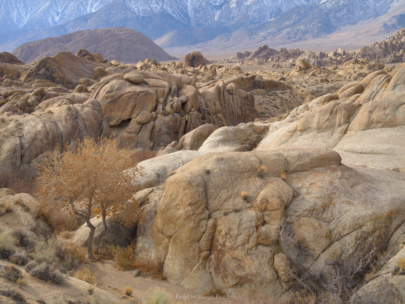 Morning In The Alabama Hills, Owens Valley, California - Artists 