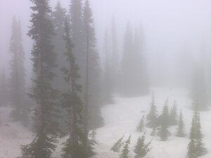 493 spring fog mount rainier washington.727.lightbox